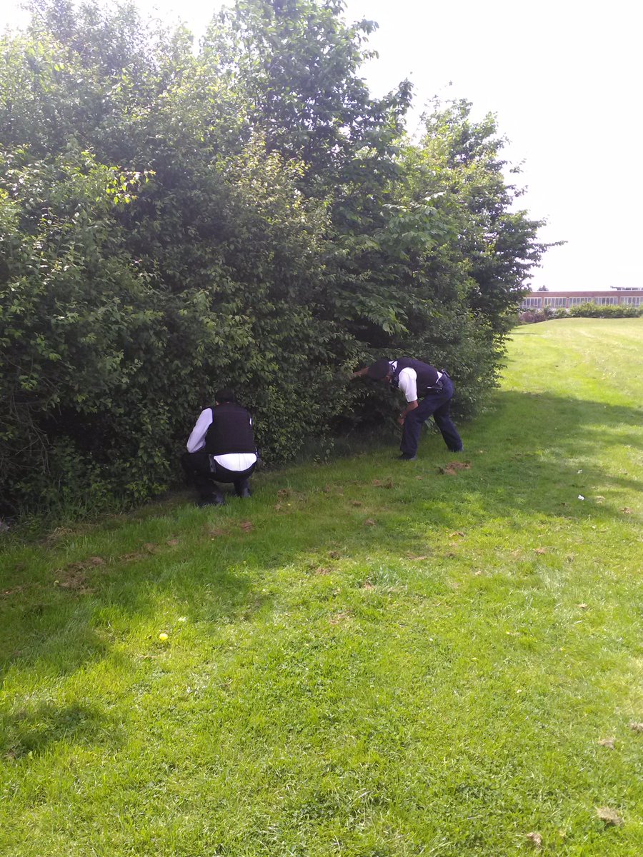 Preston Police tweet media