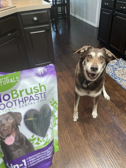 WhyHesSingle's tweet image. Excited for a surprise! Cleaning my dog's teeth is hassle-free now that we're using #EveryDayNaturals #NoBrushToothpaste Dental Chews! Head to your local Target to score yours! #ad bit.ly/EDNTarget