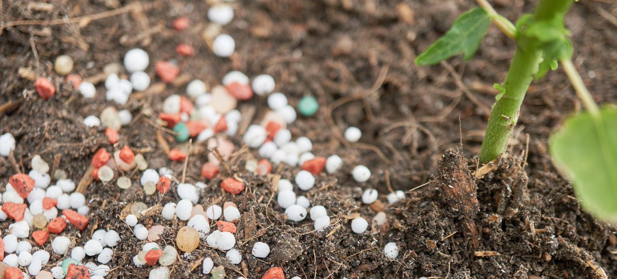 Plastics team, Ecologic Institute tweet media