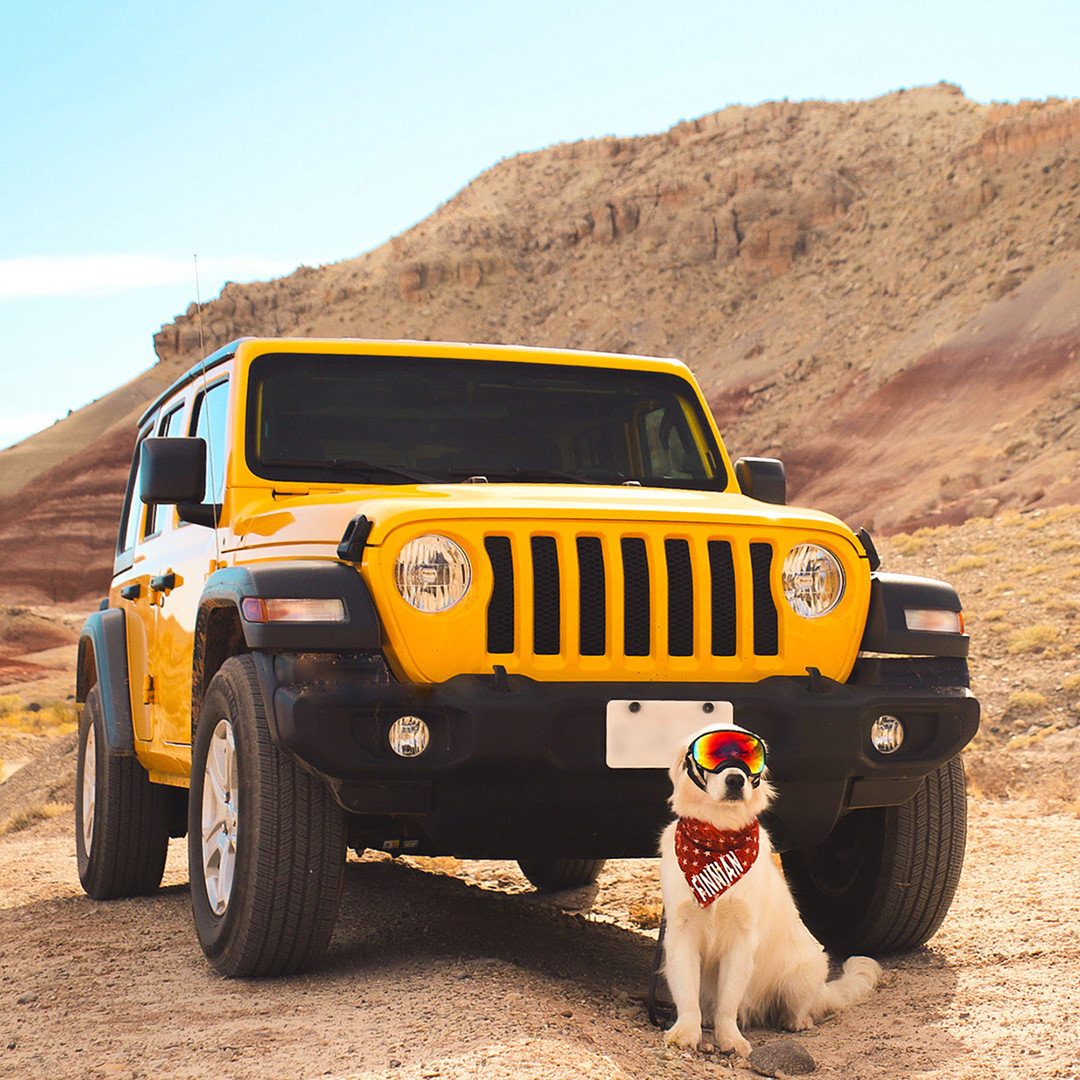 Jeep's tweet photo. Double dog dare us! What’s the challenge?

📸: Emmeline https://t.co/alk7FPThxC