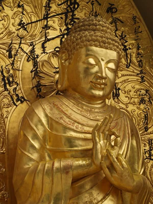 JITSARDAR14's tweet photo. 🙏 बुद्धं शरणं गच्छामि।। 🌼🌼🌼🙏
#budhistsaga
#nirvana
#monastry
#truefruitofknowledge
#peaceofmind 😇💚🤍💙 https://t.co/r1B47fkfxn