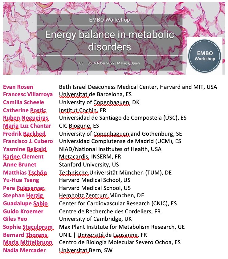 Gsabiolab's tweet photo. I am extremely excited to announce our EMBO workshop 2022 Malaga "Energy balance in metabolic disorders" with amazing speakers.  Supported &amp; organized by @EMBO&amp; @CUBEROlab @RogerJDavis1 @RubenNogueiras. The registration is open now https://t.co/pD0jYRq72x https://t.co/p6T3Izah9A