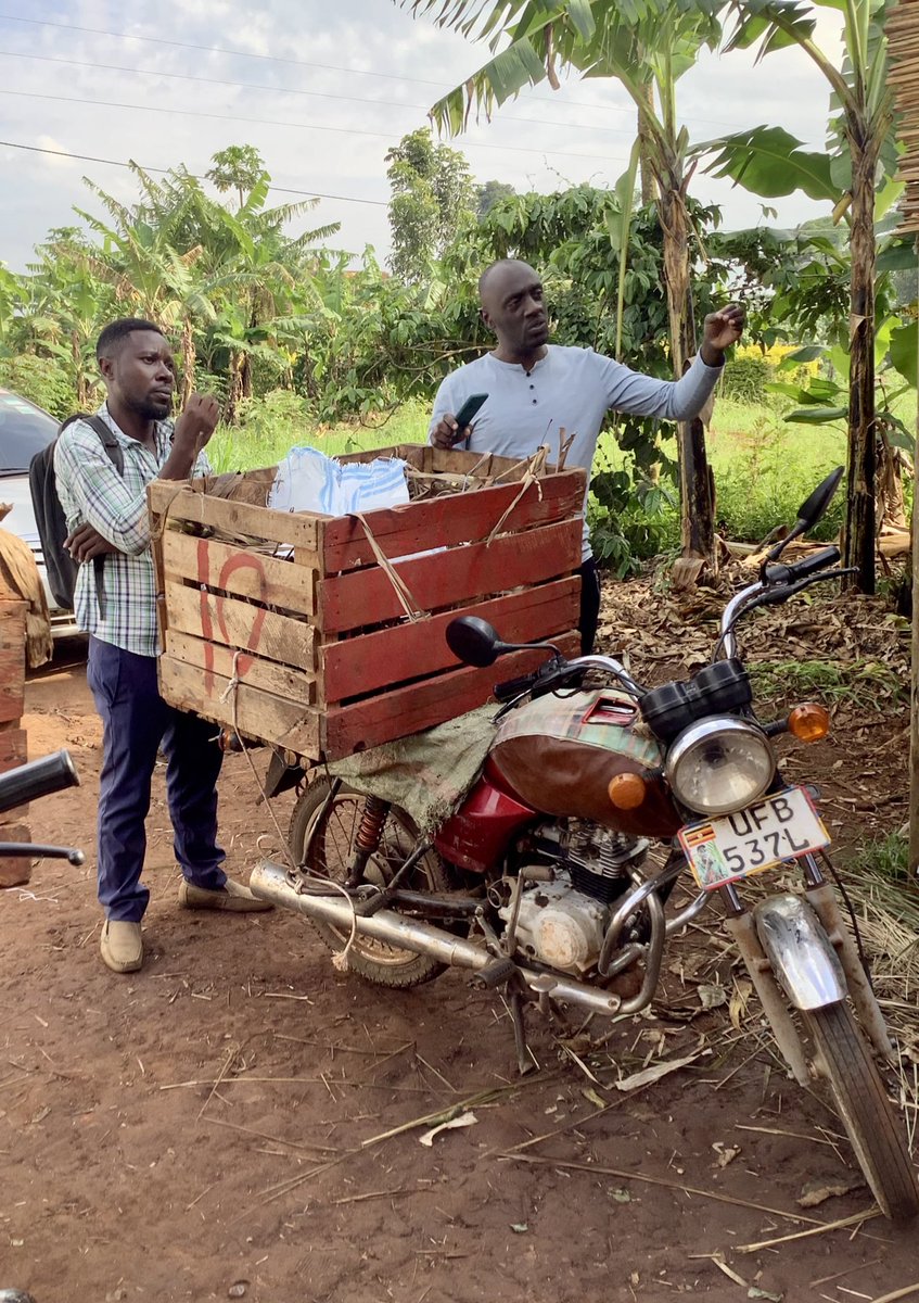 The last stop of our fieldtrip to Jinja region: a ‘Business Lab Uganda’ #BLU jackfruit collection point. Here the jackfruits are collected &amp; checked for further transport &amp; processing. On average a family makes an additional 20k shilling per week by supplying jackfruit to BLU!
