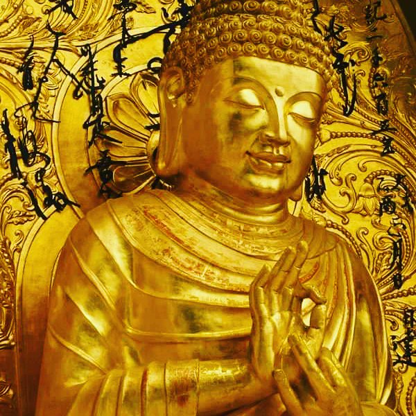 JITSARDAR17's tweet photo. 🙏 बुद्धं शरणं गच्छामि।। 🌼🌼🌼🙏
#budhistsaga
#nirvana
#monastry 
#truefruitofknowledge
#peaceofmind 😇💚🤍💙 https://t.co/R72LKUClnq
