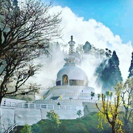 JITSARDAR17's tweet photo. 🙏 बुद्धं शरणं गच्छामि।। 🌼🌼🌼🙏
#budhistsaga
#nirvana
#monastry 
#truefruitofknowledge
#peaceofmind 😇💚🤍💙 https://t.co/R72LKUClnq