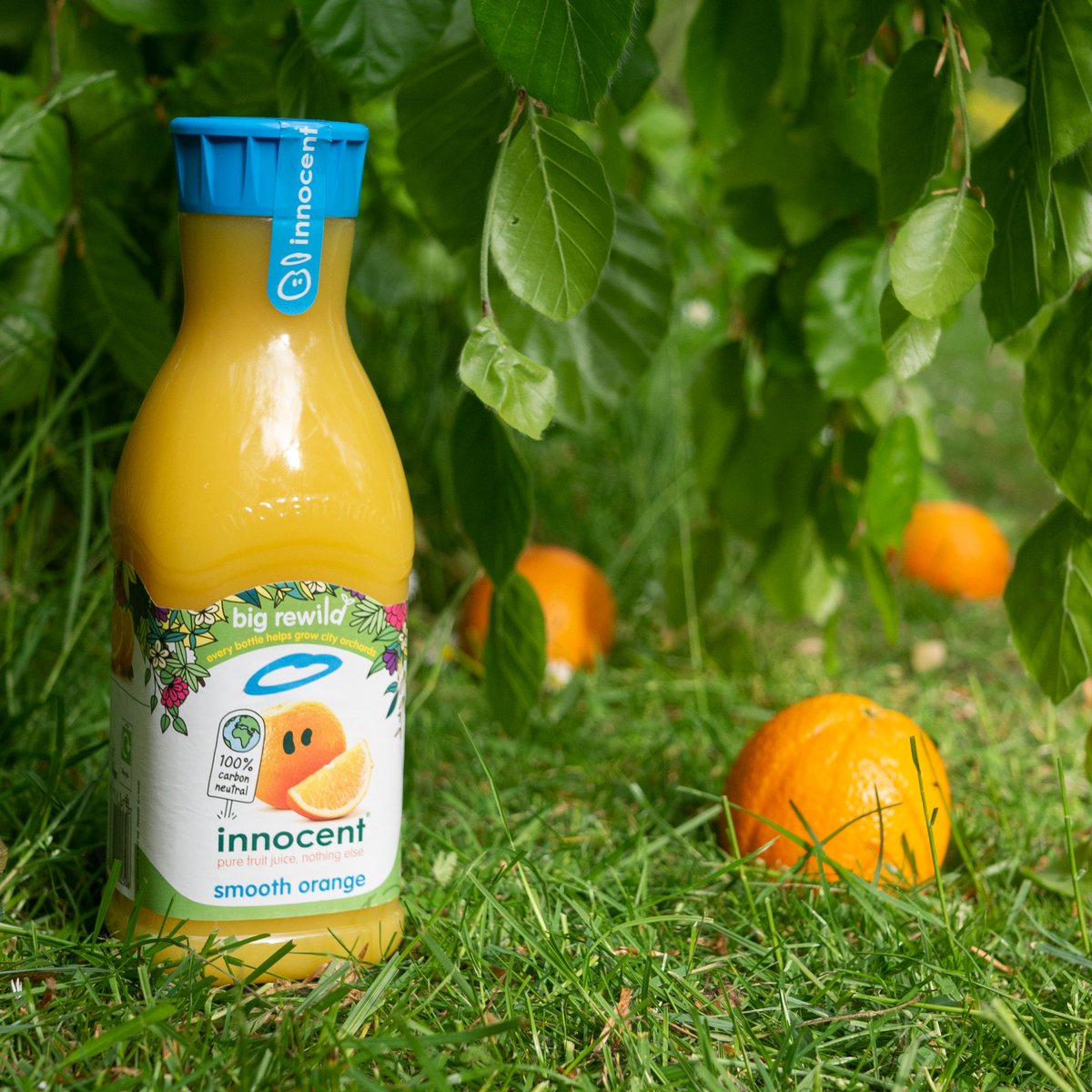 innocent's tweet photo. SAY HELLO TO OUR CARBON NEUTRAL ORANGE JUICE
We tried to make an anti-gravity orange juice but it didn't quite work, so we went with carbon neutral instead.
Learn all about this and how we're giving nature a helping hand on our #BigRewild website.
https://t.co/LMD0sbwryi https://t.co/R0Vfx2QKxZ