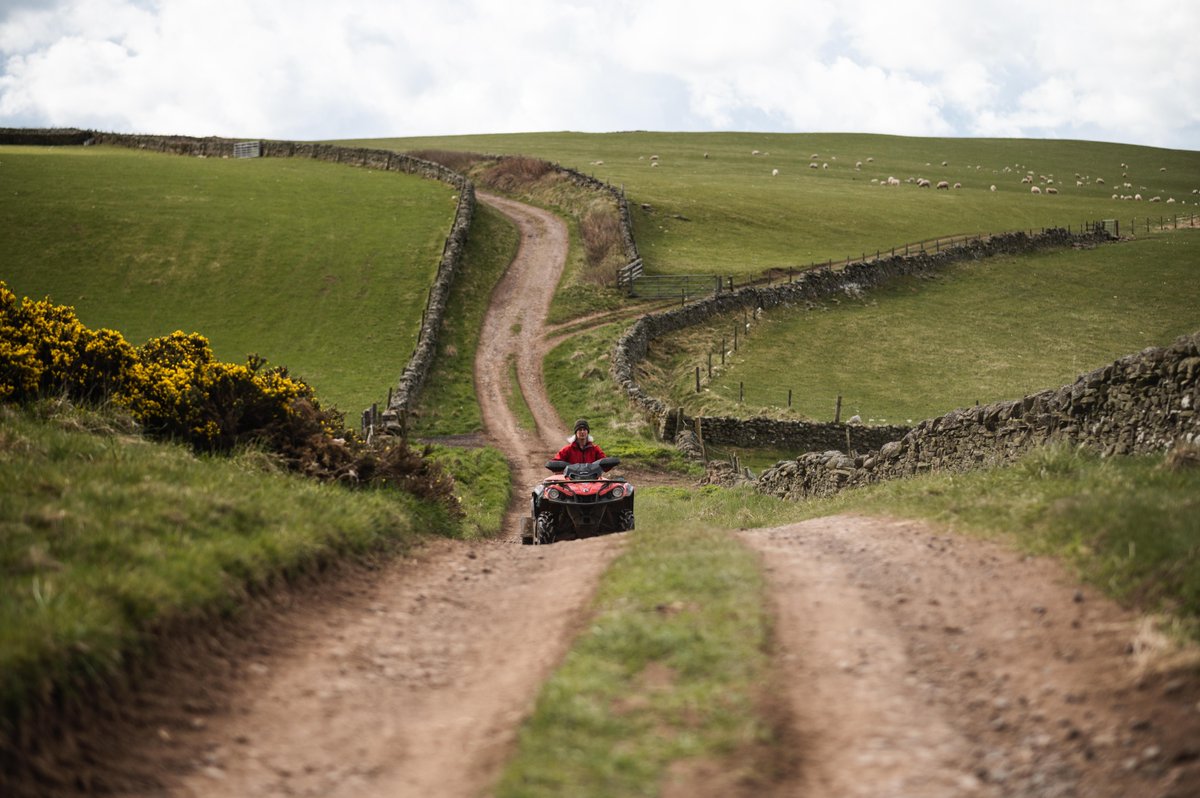 Hypnos beds tweet media