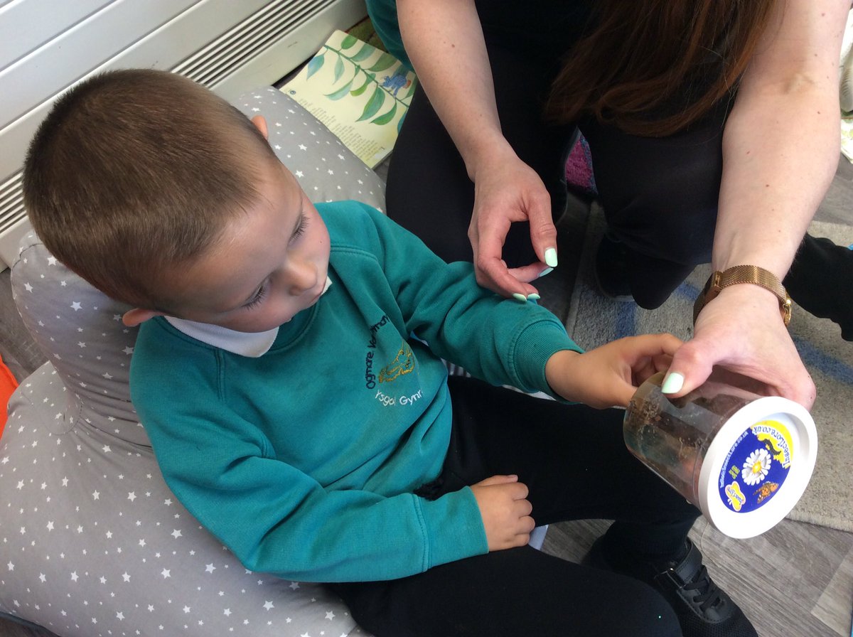 OVPSclass6 tweet media