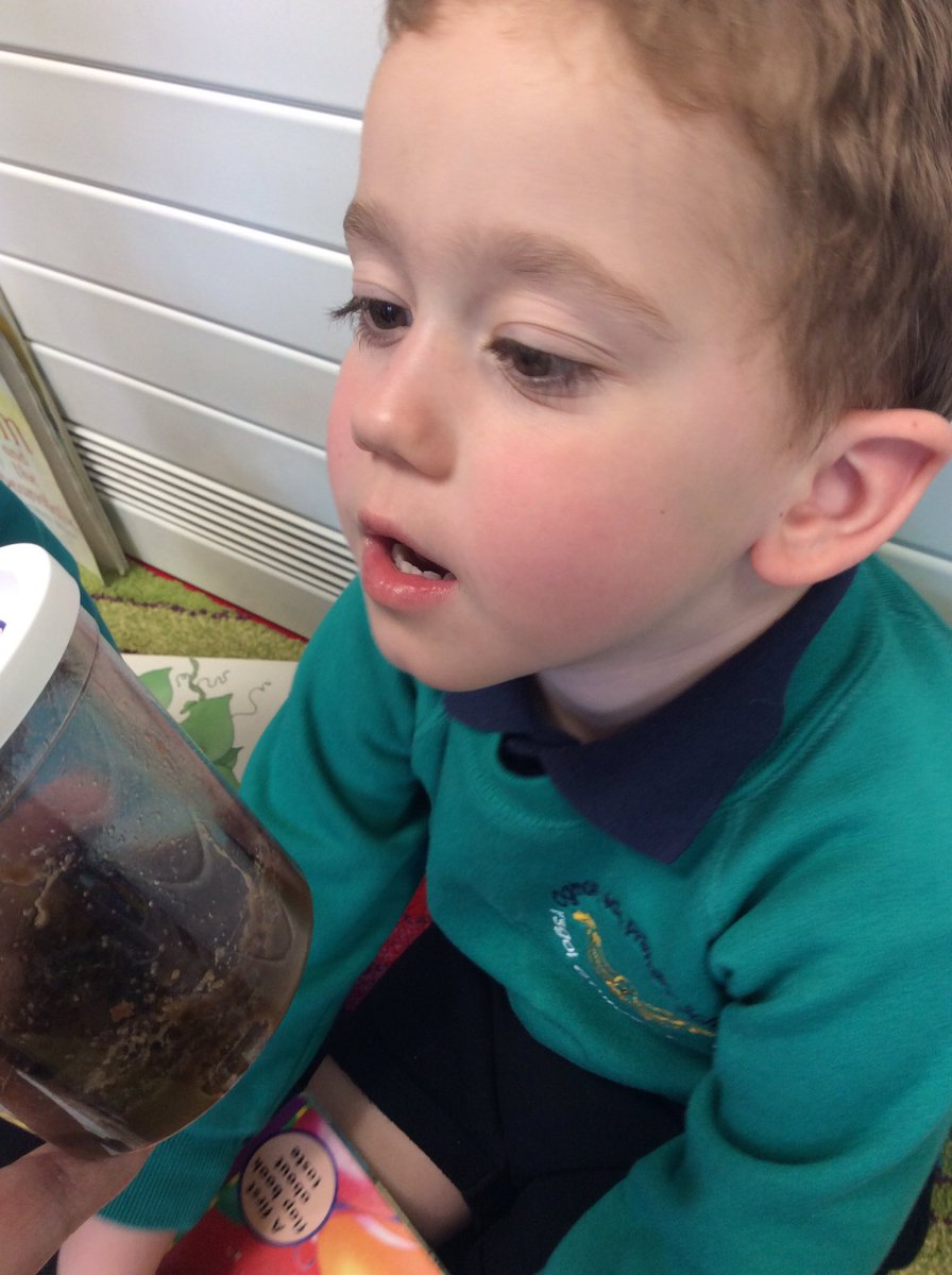 OVPSclass6 tweet media