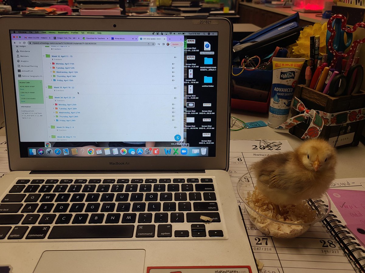 Michelle David tweet media