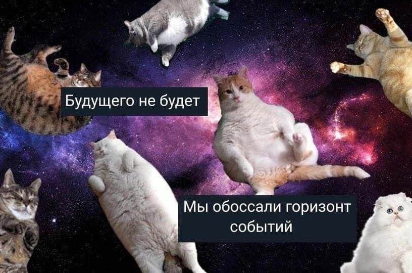 Життя багато чого змушує робити добровільно, кажуть мені 320 консультацій з 24 лютого - з епічного дня, коли в мене мала б початися відпустка і поступовий равликохід подалі від психотерапії і поближче до води, ага
*бурчить, але підписує угоду на психологічну допомогу 120 осіб ТПО