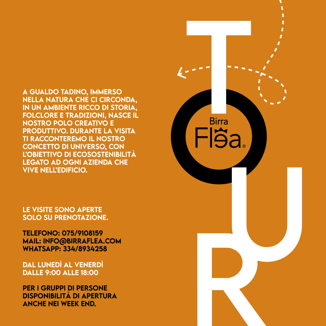 Birra Flea tweet media