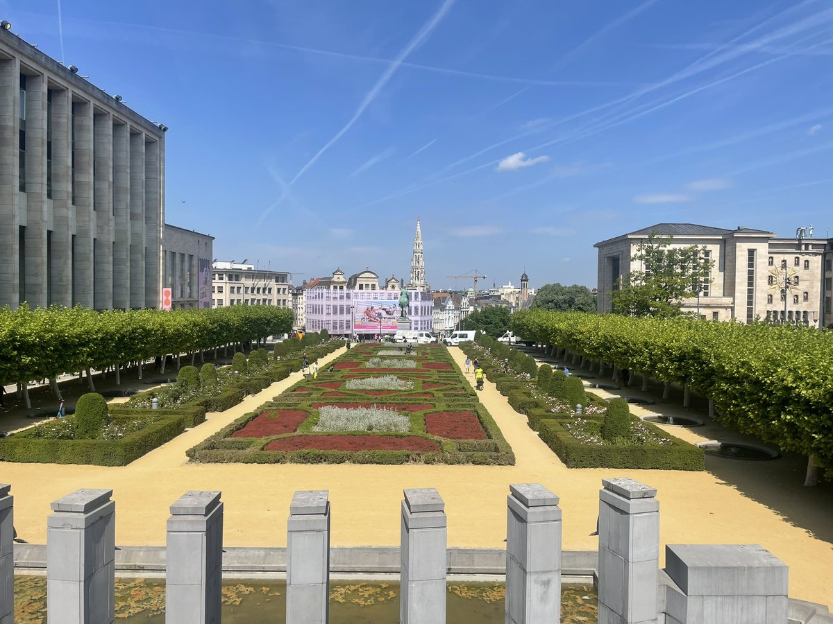 Lucy Caile tweet media