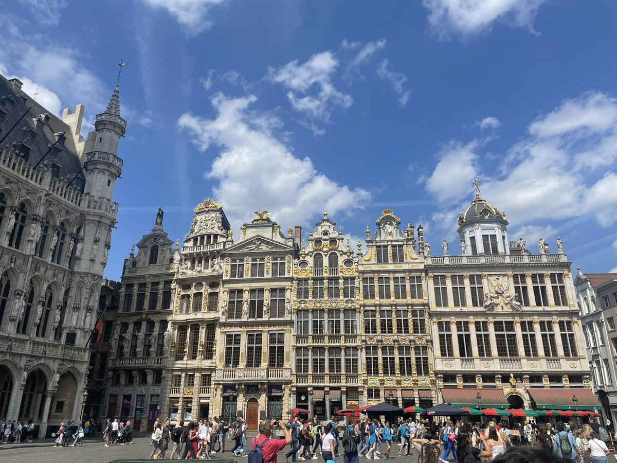 Lucy Caile tweet media