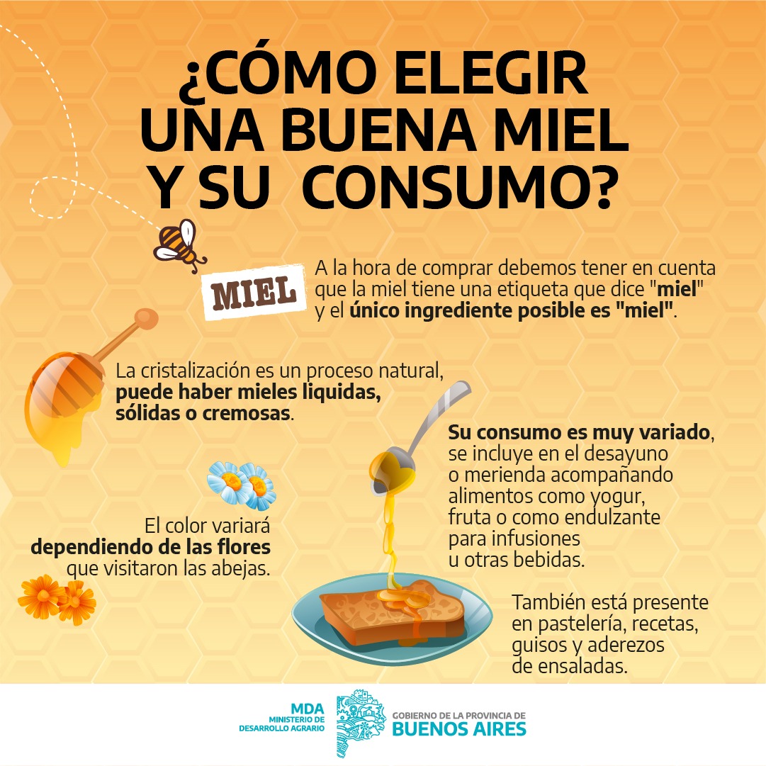 AgrarioPBA's tweet photo. La miel posee componentes que la convierten en un alimento completo, energético y muy recomendable para llevar una alimentación saludable.
Te contamos que cosas tener en en cuenta a la hora de comprar y consumir miel. 🍯🐝
#MasMielTodoElAño https://t.co/bdjJmM75oU
