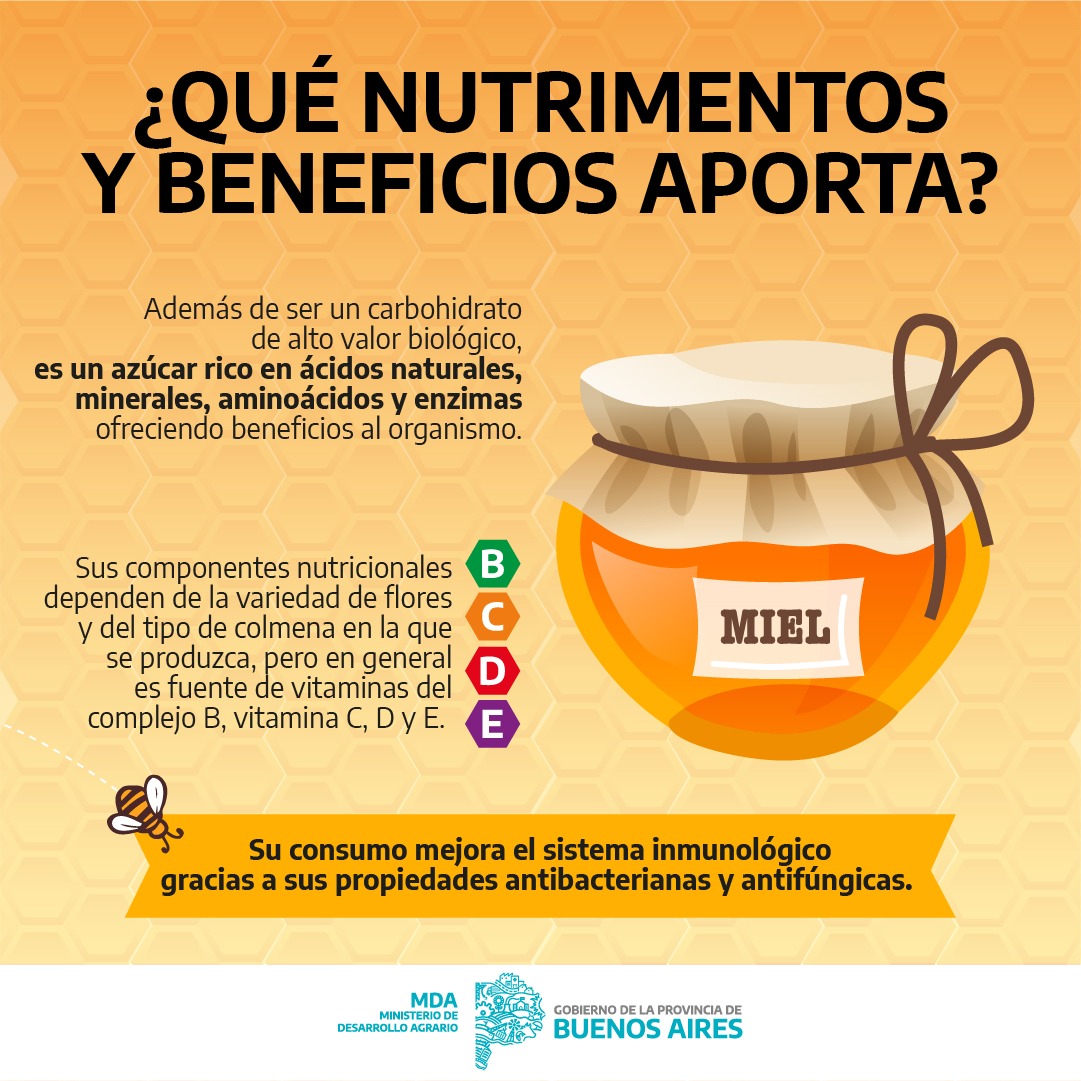 AgrarioPBA's tweet photo. La miel posee componentes que la convierten en un alimento completo, energético y muy recomendable para llevar una alimentación saludable.
Te contamos que cosas tener en en cuenta a la hora de comprar y consumir miel. 🍯🐝
#MasMielTodoElAño https://t.co/bdjJmM75oU