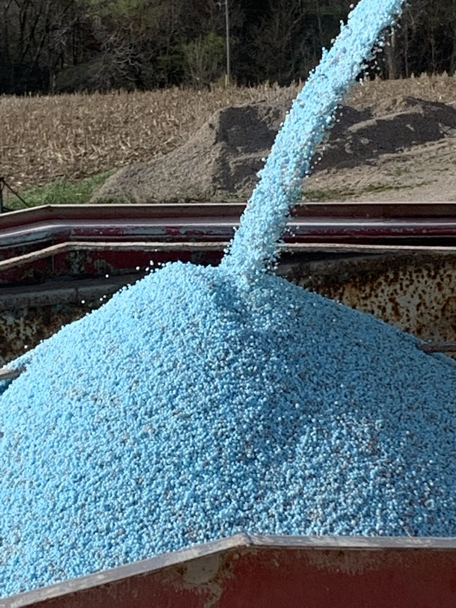Excited to see some blue fields here in Grey county! 💙