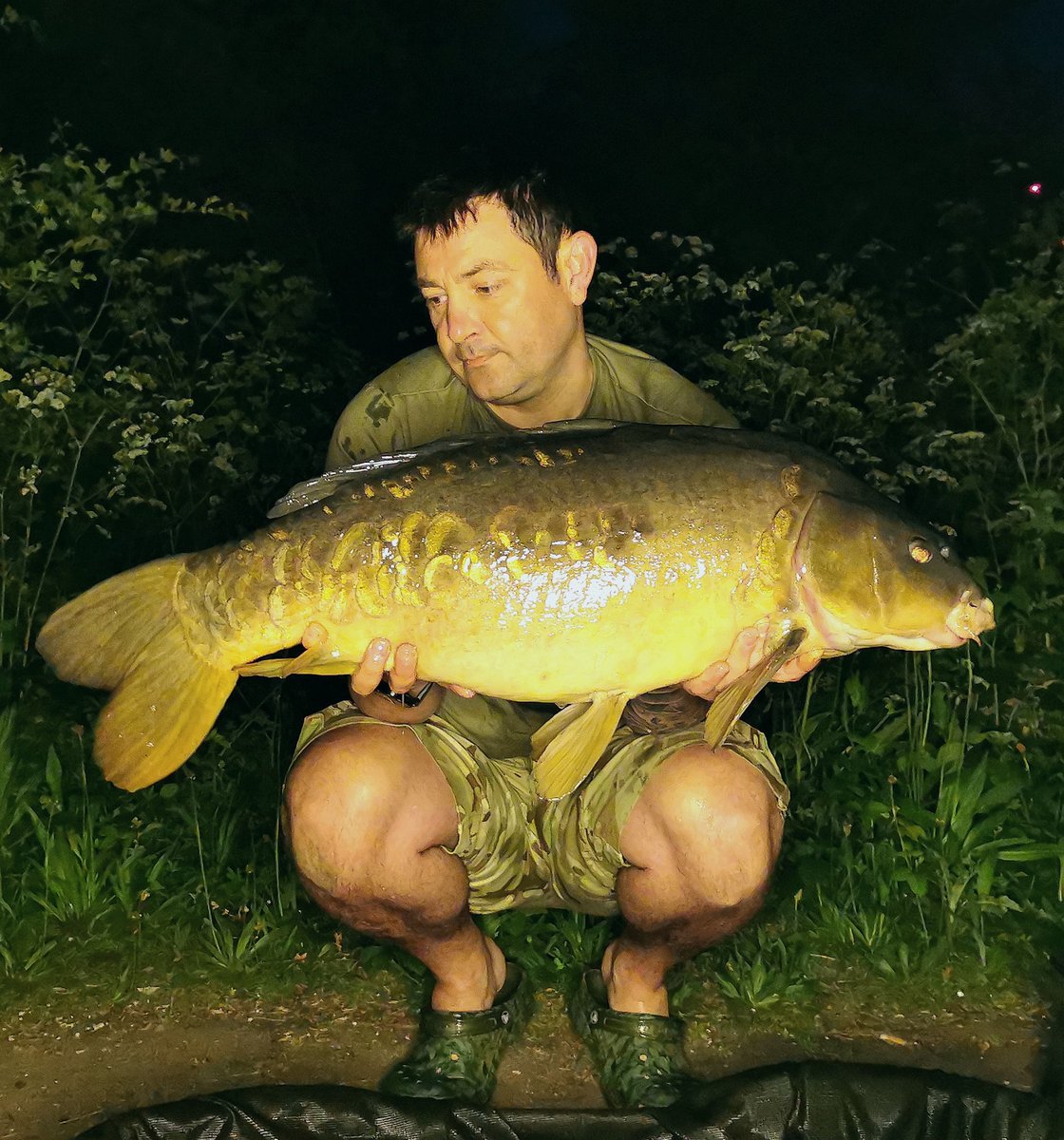 Infantrycarpers tweet media
