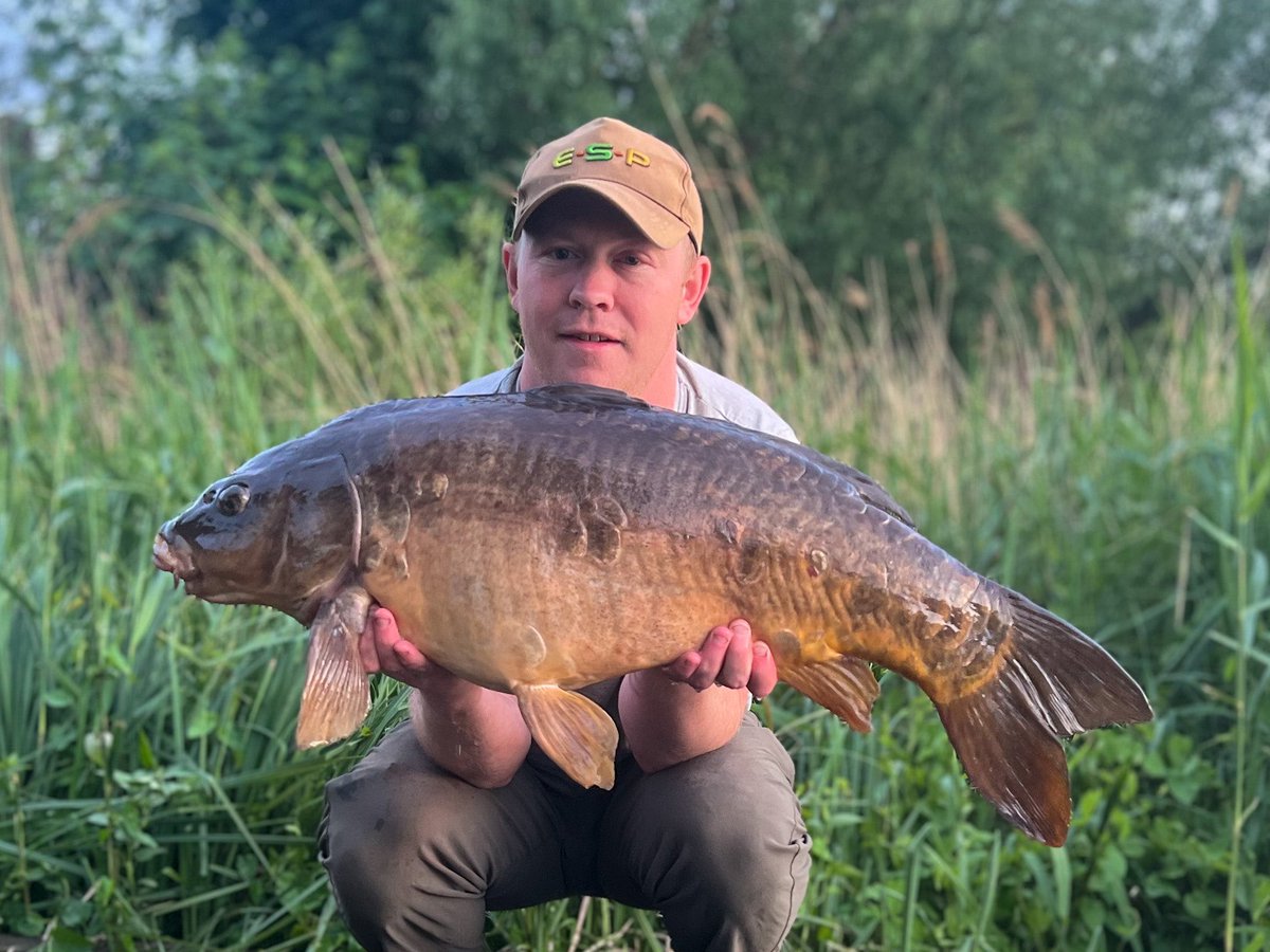 Infantrycarpers tweet media