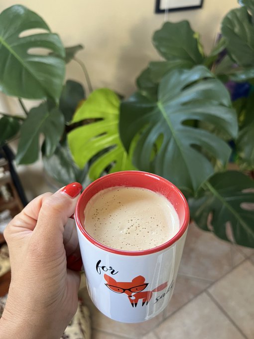 What&rsquo;s in your cup!? I have Nicaraguan @HighAFCoffee Order yours now! https://t.co/drQOjIBilI https://t<a class="tags" target="_blank" title="On Twitter" href="/?out=eyJ0eXAiOiJKV1QiLCJhbGciOiJIUzUxMiJ9.eyJpYXQiOjE3MTk3MzI2NzEsImlzcyI6InR3cG9ybnN0YXJzLmNvbSIsIm5iZiI6MTcxOTczMjY3MSwiZXhwIjoxNzUxMjY4NjcxLCJyZWRpcmVjdF91cmwiOiJodHRwczovL3R3aXR0ZXIuY29tL0hpZ2hBRkNvZmZlZSJ9.yM0bjWfvuOcPrCF8b9y97sRzp9IlCZlf2aP77ixe2DLN7kLv3D1wfuSo1jWSgGiXauwhA3ErqLMOpuSUH3jYDw">@HighAFCoffee</a><a href="/tag/valentinesday"class="tags"><span>#valentinesday</span></a>