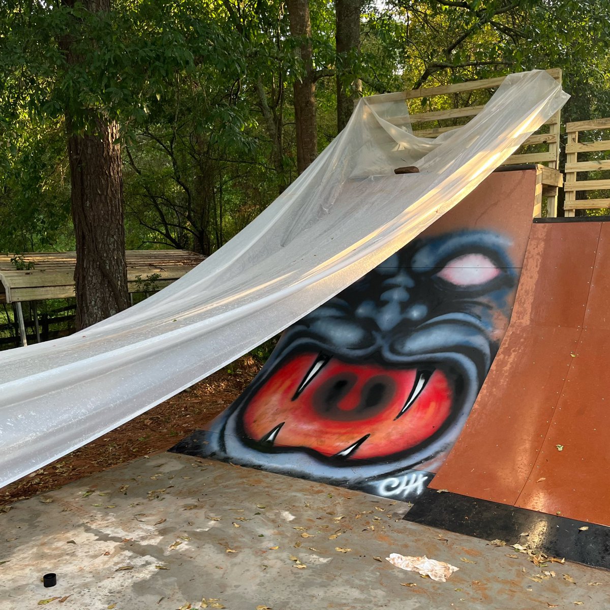 CharlieCRamone's tweet photo. Peekaboo https://t.co/QLxCLnKoWG