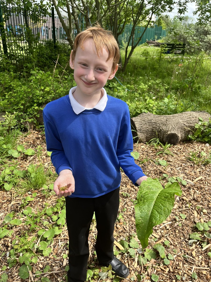 River Tees Primary tweet media