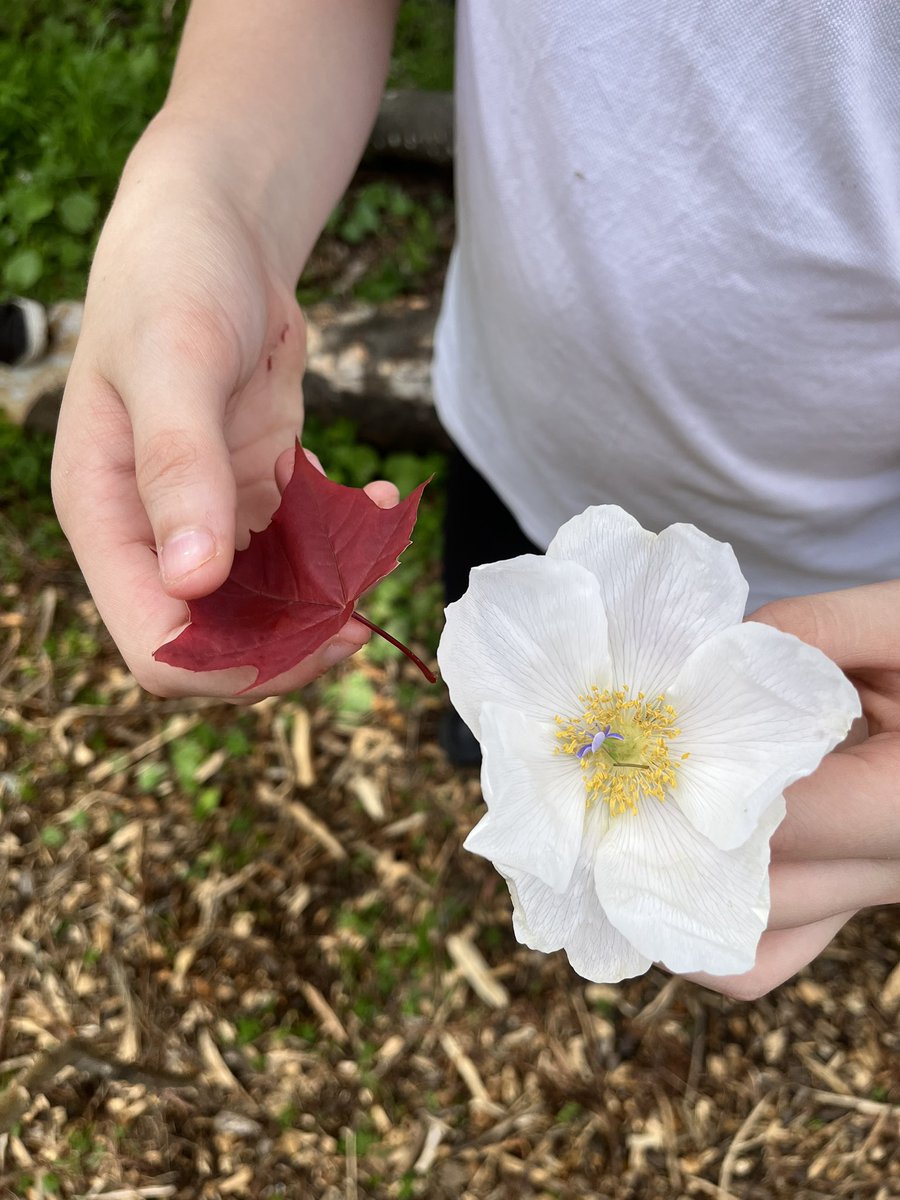 River Tees Primary tweet media