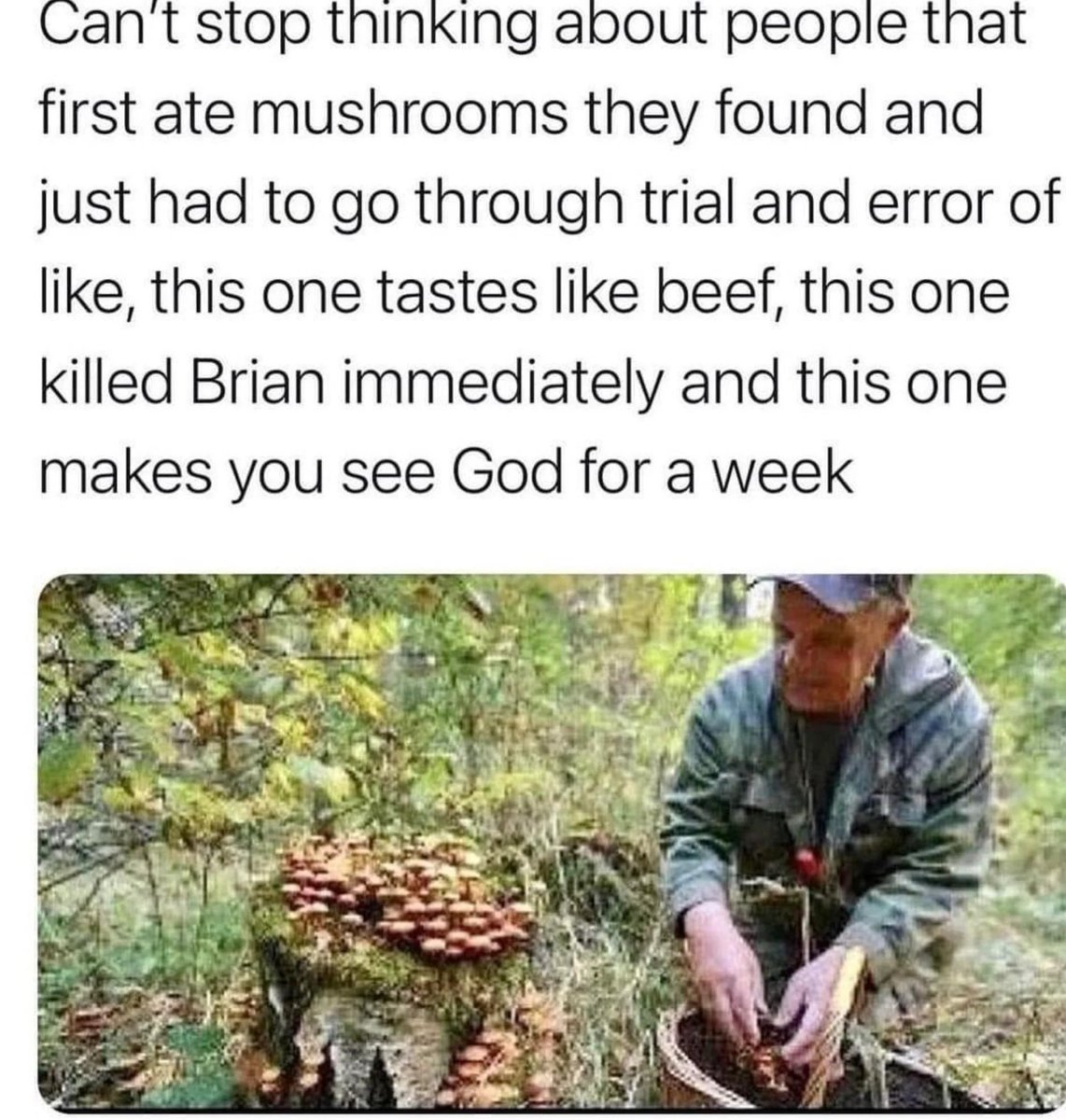 Simon Lamb tweet media