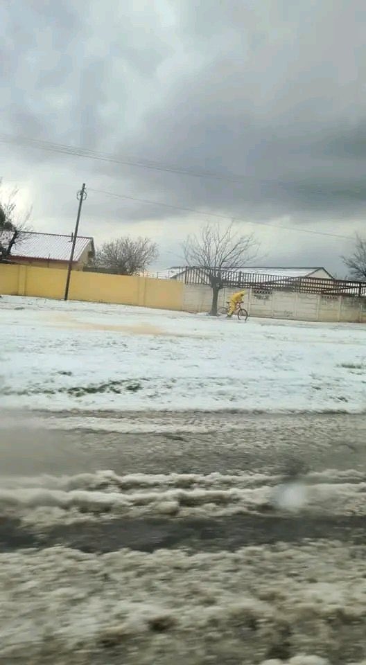 tWeatherSA's tweet photo. ⚠️DAMAGING HAILSTORM IN RANDFONTEIN ON TUESDAY AFTERNOON | 📸 SUPPLIED https://t.co/fsZGWBQvdQ