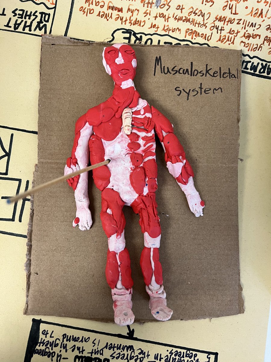 VColabawalla's tweet photo. 3D ideas of the Huma body - hands on learning in Grade 5 ⁦@BayviewHillES⁩  ⁦@theroar_bhes⁩ https://t.co/tD837i8r7C