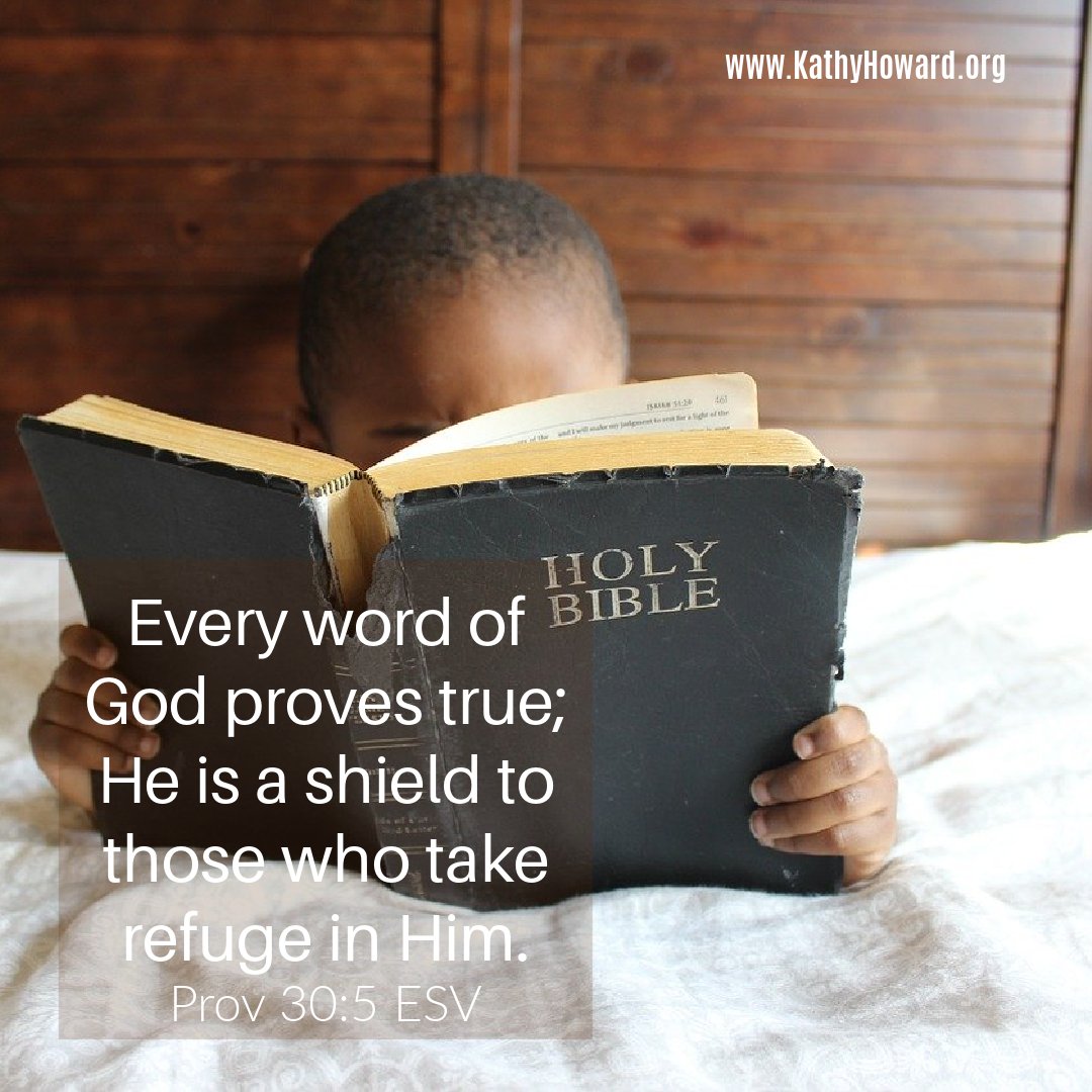 In a world of relative truth and "disinformation" it's hard to know's right. But, we can KNOW that God's Word is always and forever true. We can TRUST that He will do what He says. We can DEPEND on Him now and for eternity.
#truth #GodsWord #dailyBibleverse #dailyBiblereading