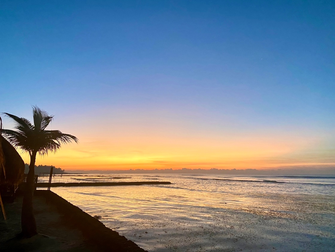 MSU_Architect's tweet image. Good morning.