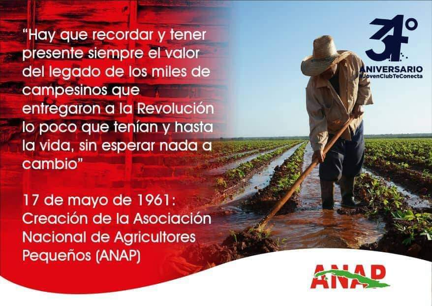 ClubGranma's tweet photo. El 17 de mayo de 1959 se firma la Primera Ley de Reforma Agraria en la Sierra Maestra por el Gobierno Revolucionario. Felicidades a todo el campesinado en su día,   consagrados y comprometidos con el desarrollo de nuestro país #ANAP #CubaViveEnSusCampesinos #CubaViveYProduce https://t.co/NY3OkZDm6L