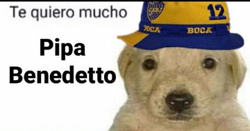 FeliBecerra1's tweet photo. @BocaJrsOficial @PipaBenedetto https://t.co/BQsZlRcSvL