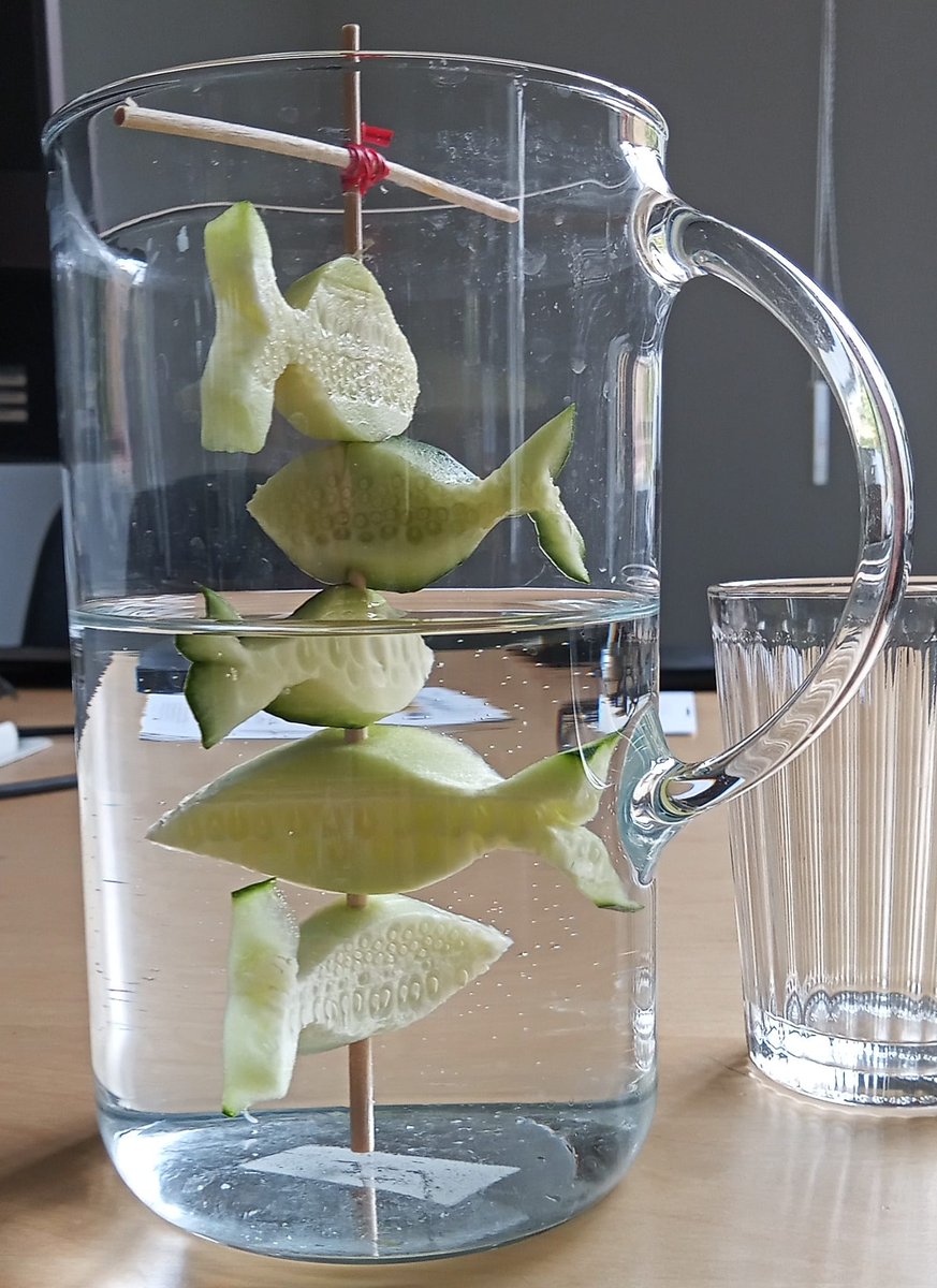 REAL School Budapest tweet media