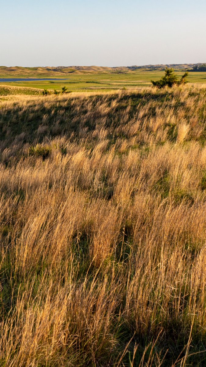 1Weather tweet media