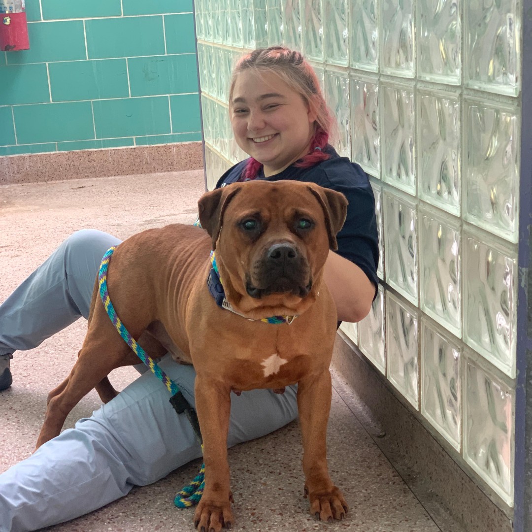 Pennsylvania SPCA On Twitter Our Beautiful Blind Boy Squash LOVES pennsylvania-spca-on-twitter-our-beautiful-blind-boy-squash-loves