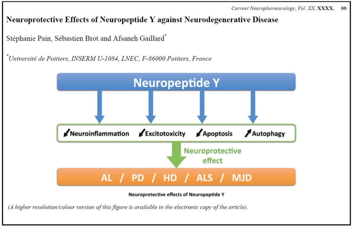 SebastienBrot86's tweet photo. Neuroprotective effects of neuropeptide Y against neurodegenerative disease.  https://t.co/ybyDNSG0AX https://t.co/0bP215wIoF