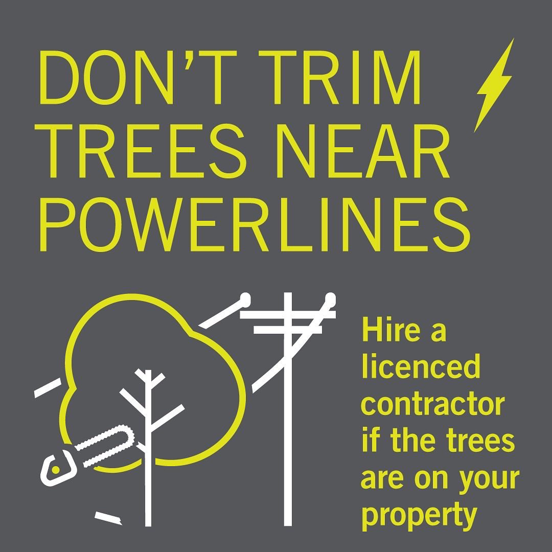 alectranews's tweet image. It’s #PowerLineSafetyWeek! ⚡ Swipe to learn how you can keep you and your loved ones safe around overhead power lines. #StopLookLive and click here for more safety tips alectrautilities.com/powerline-safe…
