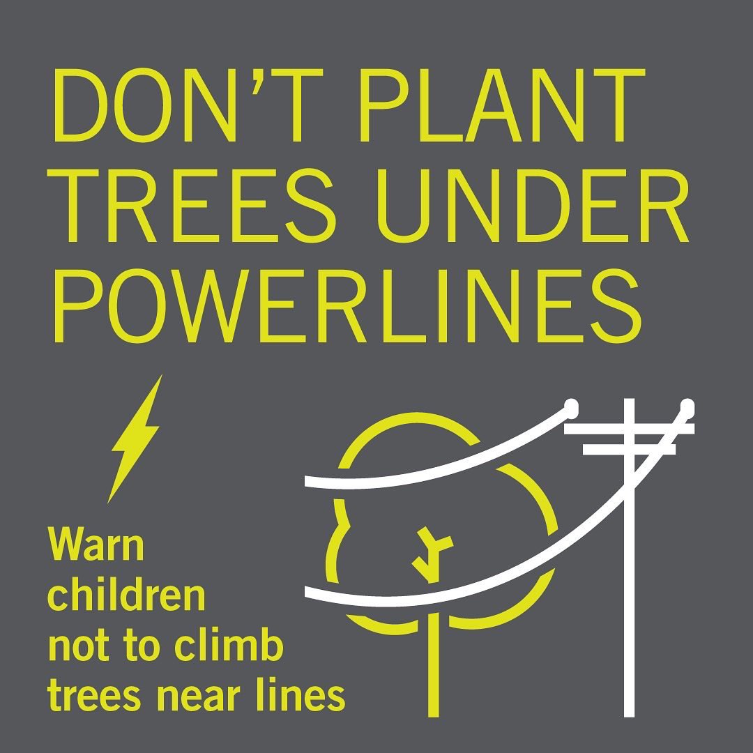 alectranews's tweet image. It’s #PowerLineSafetyWeek! ⚡ Swipe to learn how you can keep you and your loved ones safe around overhead power lines. #StopLookLive and click here for more safety tips alectrautilities.com/powerline-safe…