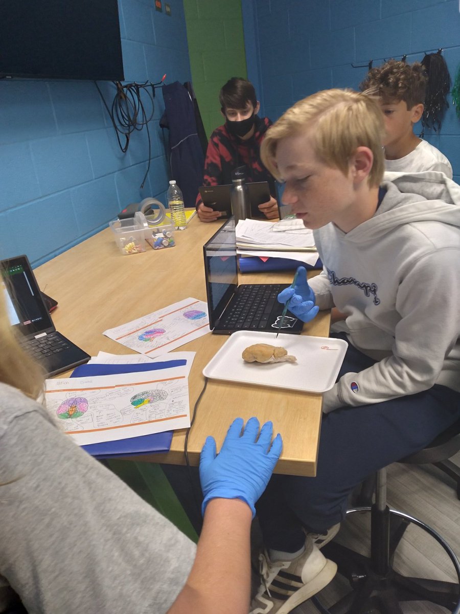 CITGOiaOQMS's tweet photo. Last brain dissection of the year!! Still amazing after 6 groups and 12 dissections!! Ss exposure to medical sciences is phenomenal! #sd113a #OQFamily @sonray10 https://t.co/I8UaF68p9e