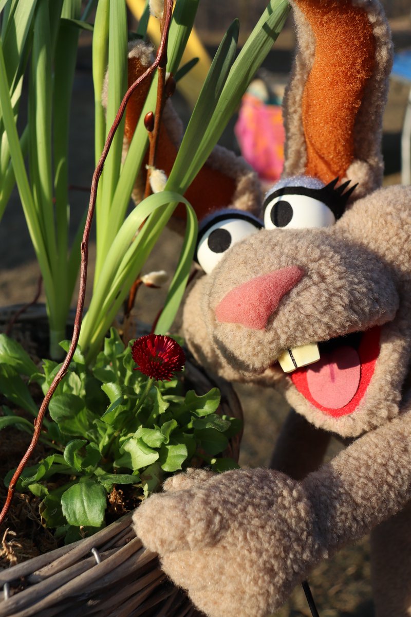 M.I. understanding tweet media