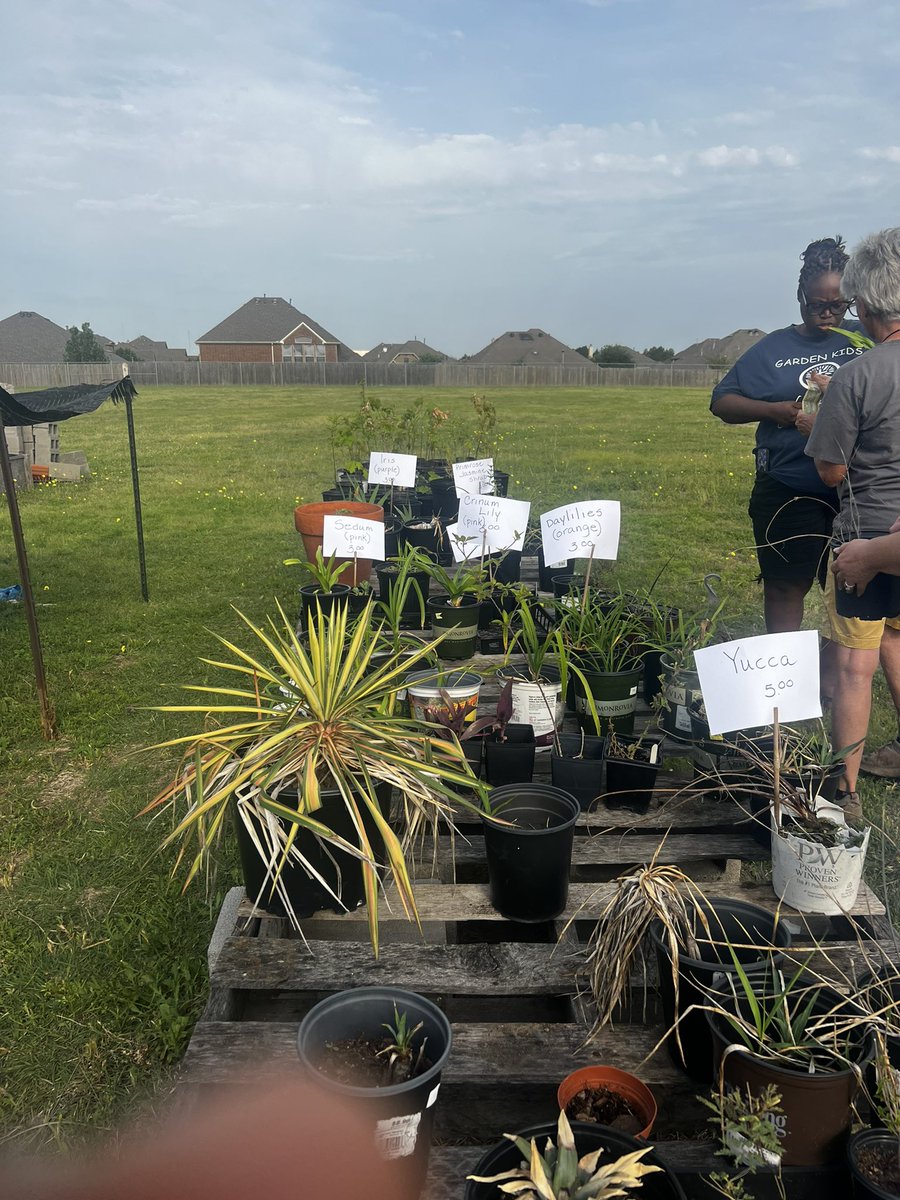 RubyYoungPSA's tweet photo. Ruby Young Plant Sale is going down today from 8:30-12 & 4:00-5:30. Come on out for your spring gardening needs. We would also like to thank Mayor @rachellproctor and all the Ruby Young teachers from years past for dropping by. Come back anytime! #RubyYoung #gardening #STEAM https://t.co/vbgIqxaM8C
