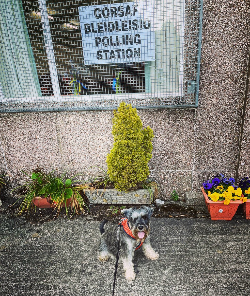 Cat (@runningmammacat) on Twitter photo VOTE SCHNAUZER! 🧡
Winston pledges his voters an increase in treats and the promise of more belly rubs for all doggos
#schnauzerfestwalkstheglobe
#dogsatpollingstations
<a href="/SchnauzerfestUK/">SchnauzerfestUK®</a> VOTE SCHNAUZER! 🧡
Winston pledges his voters an increase in treats and the promise of more belly rubs for all doggos
#schnauzerfestwalkstheglobe
#dogsatpollingstations
<a href="/SchnauzerfestUK/">SchnauzerfestUK®</a>