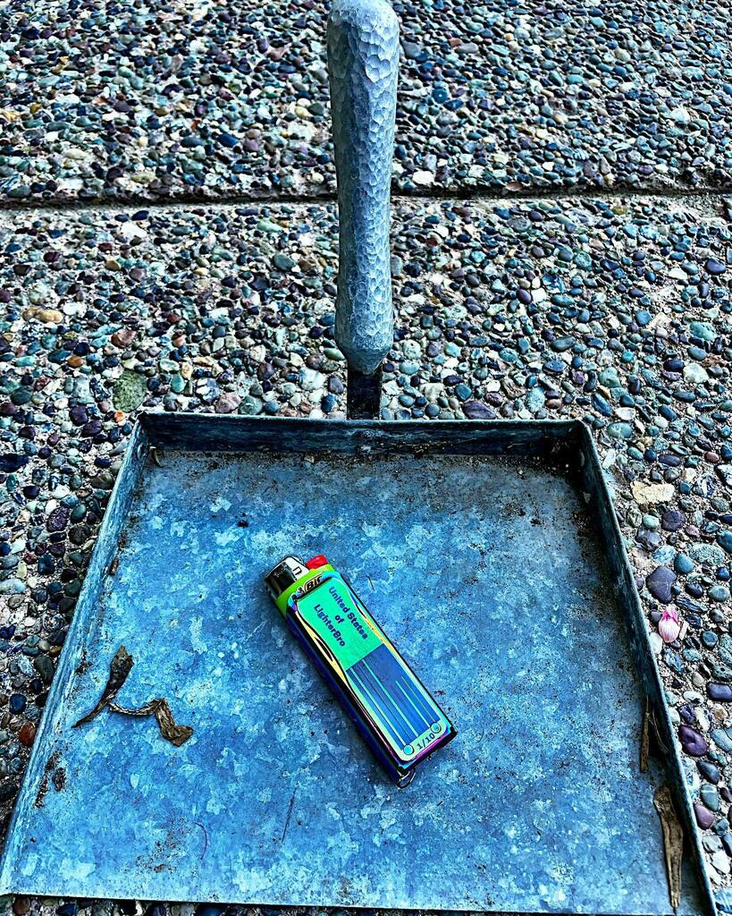 LighterBro tweet media