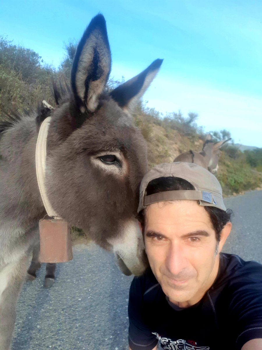 RosaFabrizio3's tweet photo. Durante un tour per le colline di casa eccoti il vero amore 💘 la tenerezza infinita 😍
#trailrunning #trail #hiking #hikingadventures #asino #mule #liguria #vasia https://t.co/LBfkAlozC7