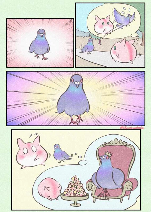 741日目 野生の鳩 