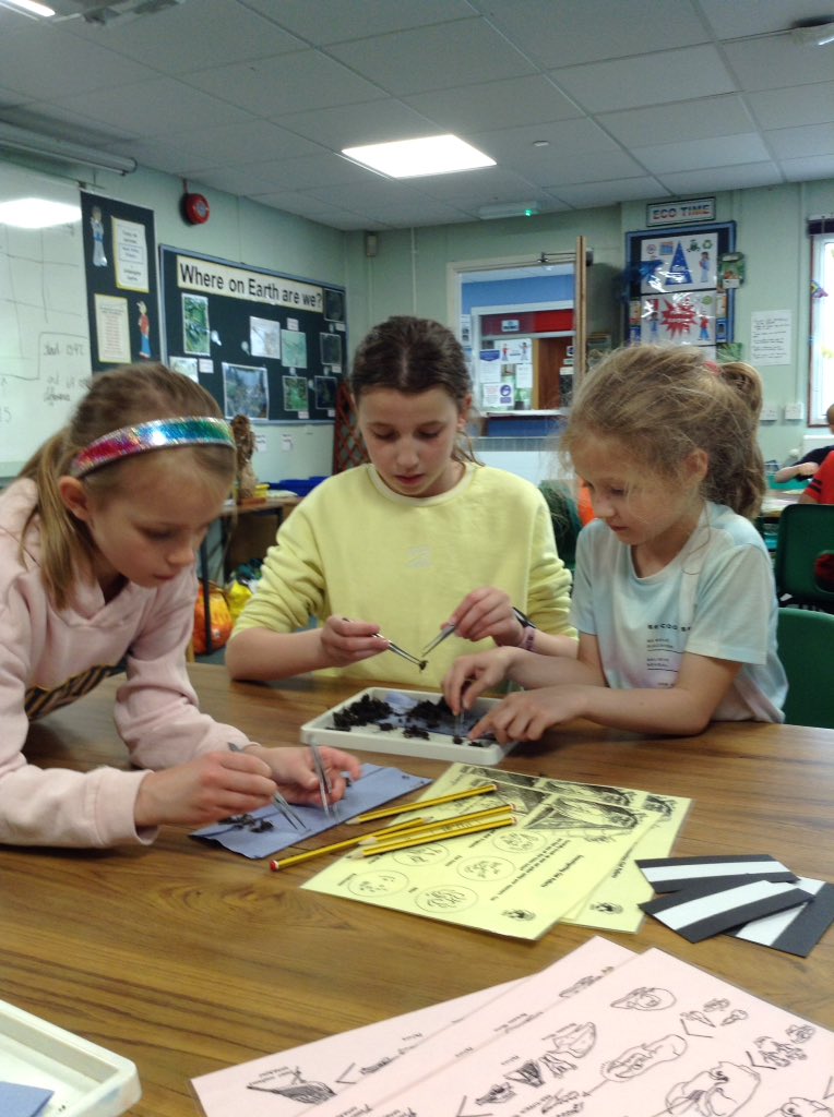 Nene Valley Office tweet media