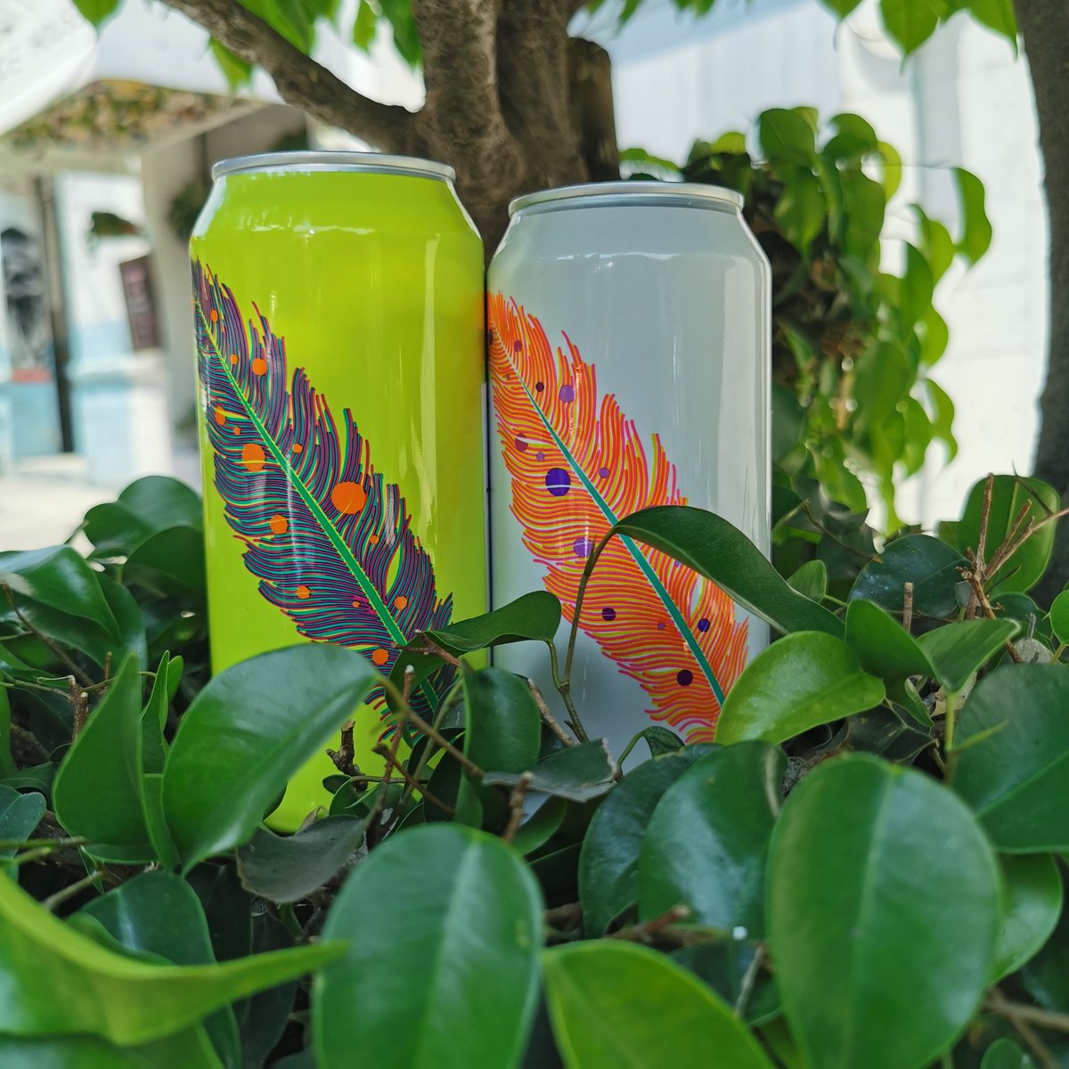 ¡Súper promo en Omnipollo!

Bianca Lassi Gose Limón ello &amp; Bianca Lassi Gose Orange Pineapple se van con un 15% OFF, al ordenar ambas e ingresar el código OMNI al momento de hacer el pago.

¡No te quedes sin probar estas delicias!

#LoveTheBeerCow #Omnipollo