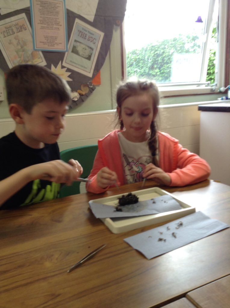 Nene Valley Office tweet media